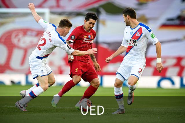 UED公司介绍图